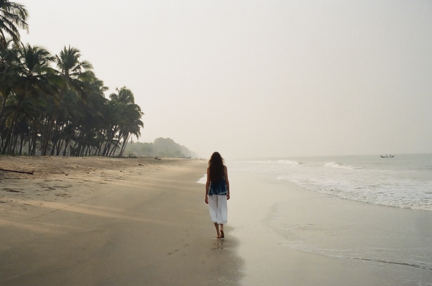 A figure walking a misty beach lined with palms on the Kerala coast