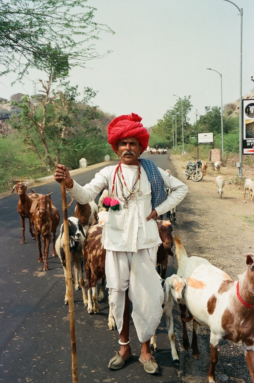 A shepherd in a red turban with his goats